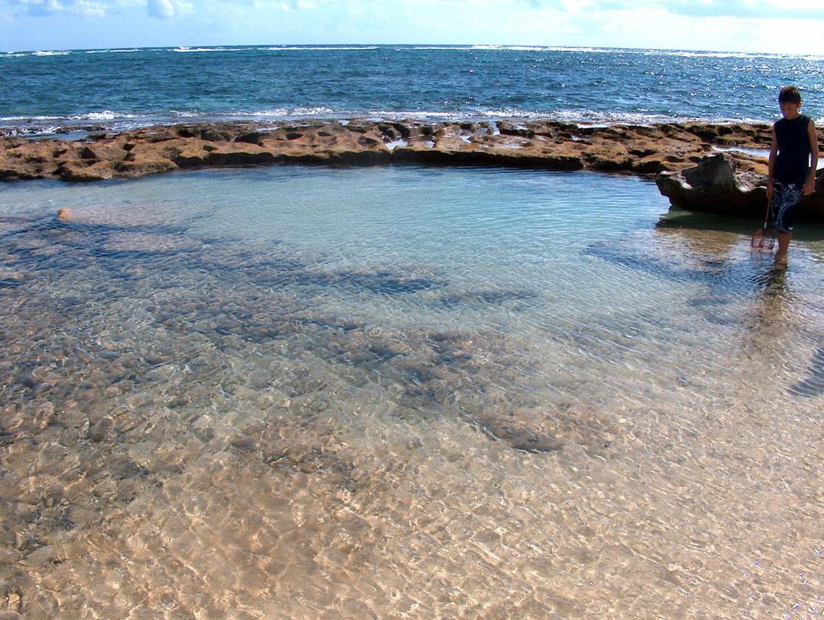 Вілла Itʻs All About The Beach Hau'ula Екстер'єр фото